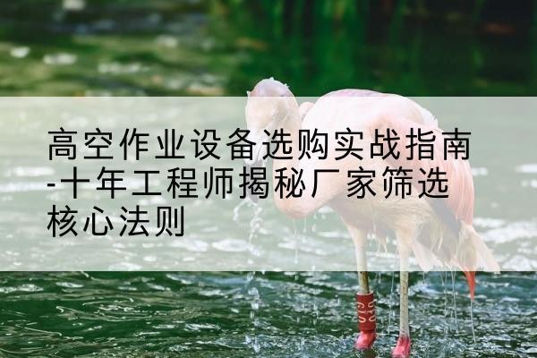 兴宁剪叉式升降机厂家-高空作业设备选购实战指南-十年工程师揭秘厂家筛选核心法则