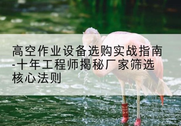 兴宁剪叉式升降机厂家-高空作业设备选购实战指南-十年工程师揭秘厂家筛选核心法则